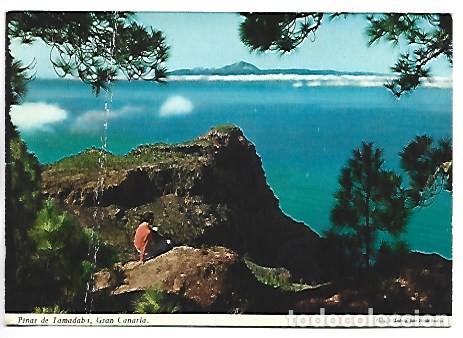 Postales: PINAR DE TAMADABA.- GRAN CANARIA
