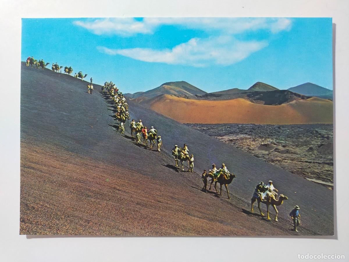Postales: Postal LANZAROTE (Canarias): Caravana de camellos. La isla de los Volcanes - Colec. Las Afortunadas.