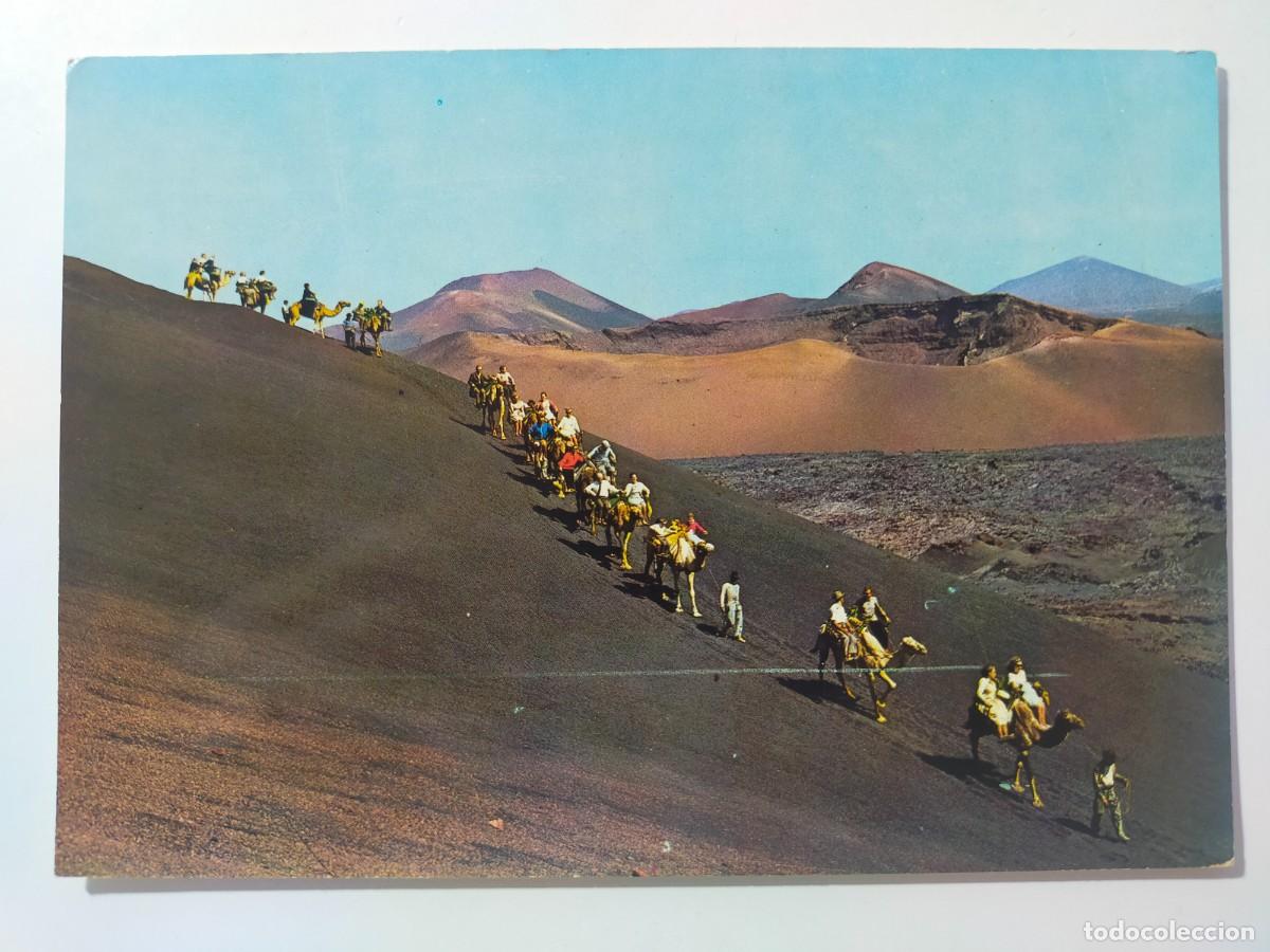 Postales: Postal LANZAROTE (Canarias): Caravana en las monta&ntilde;as de fuego - Edic. Arribas