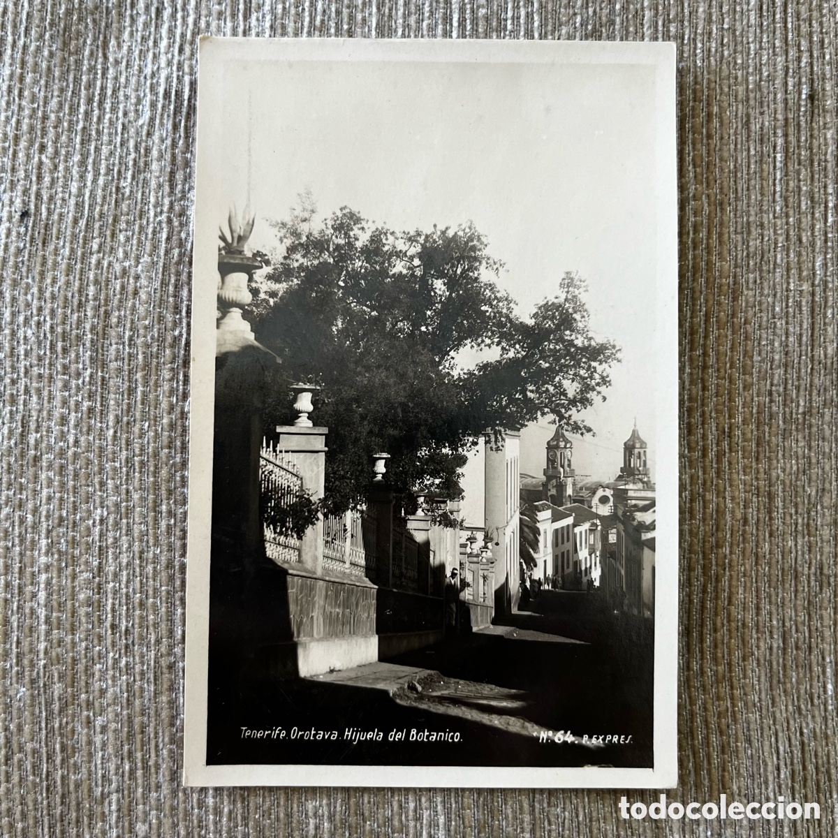 Postcards: POSTAL LA OROTAVA / TENERIFE