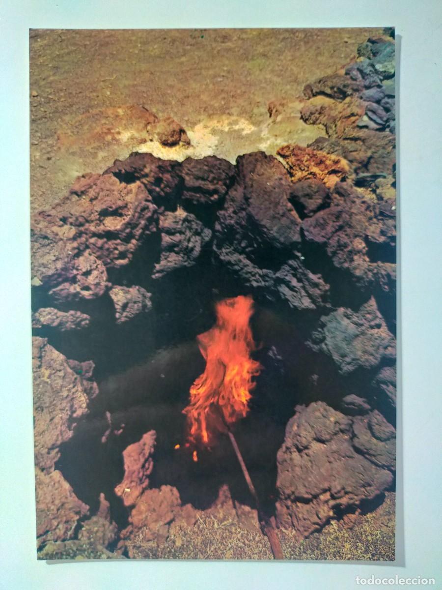 Postales: Postal LANZAROTE (Canarias): Horno natural en la Monta&ntilde;a de Fuego - Colec. Las Afortunadas.