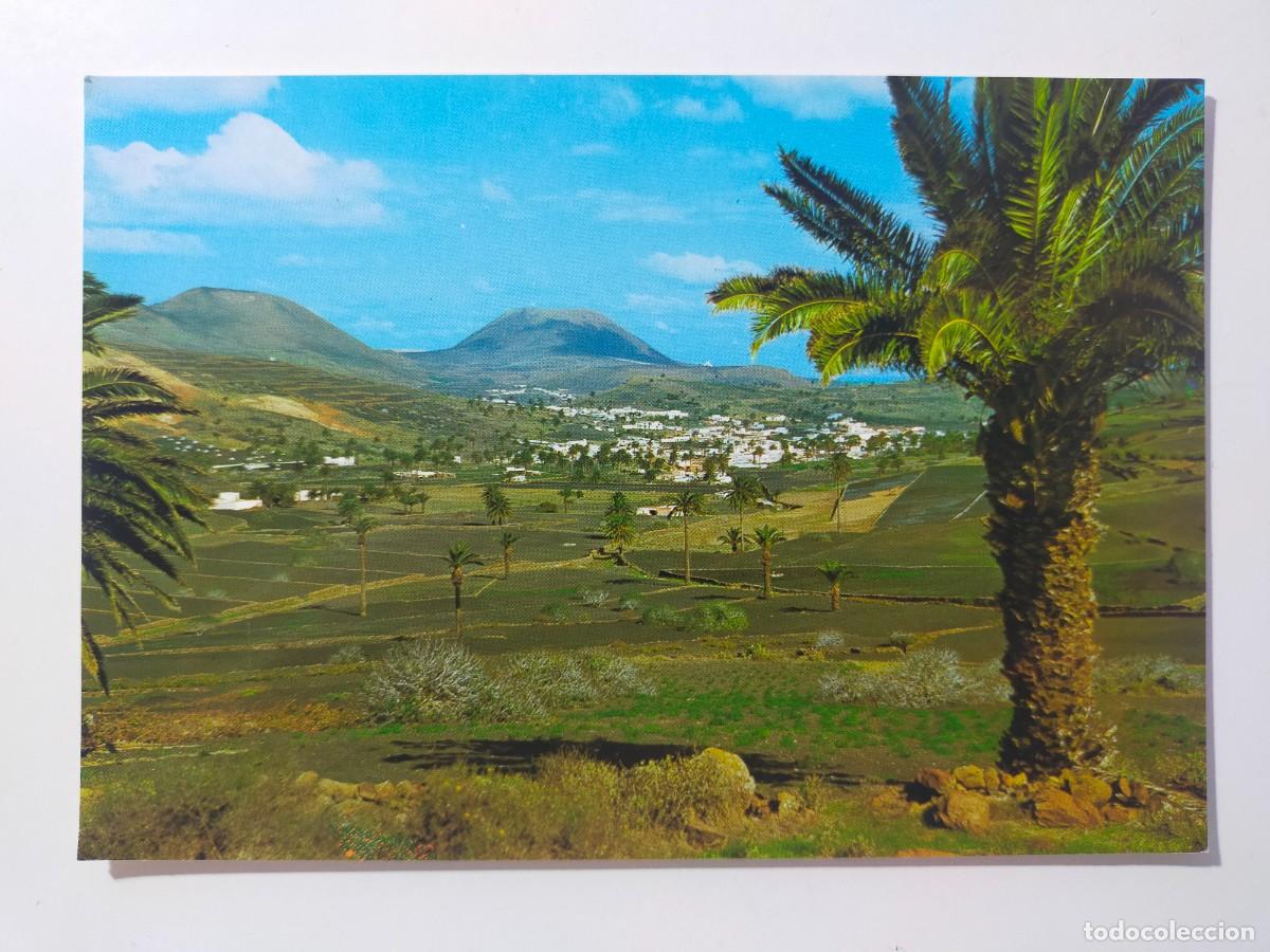 Postales: Postal HARIA, LANZAROTE (Canarias): Valla de las Palmeras - Colec. Las Afortunadas.
