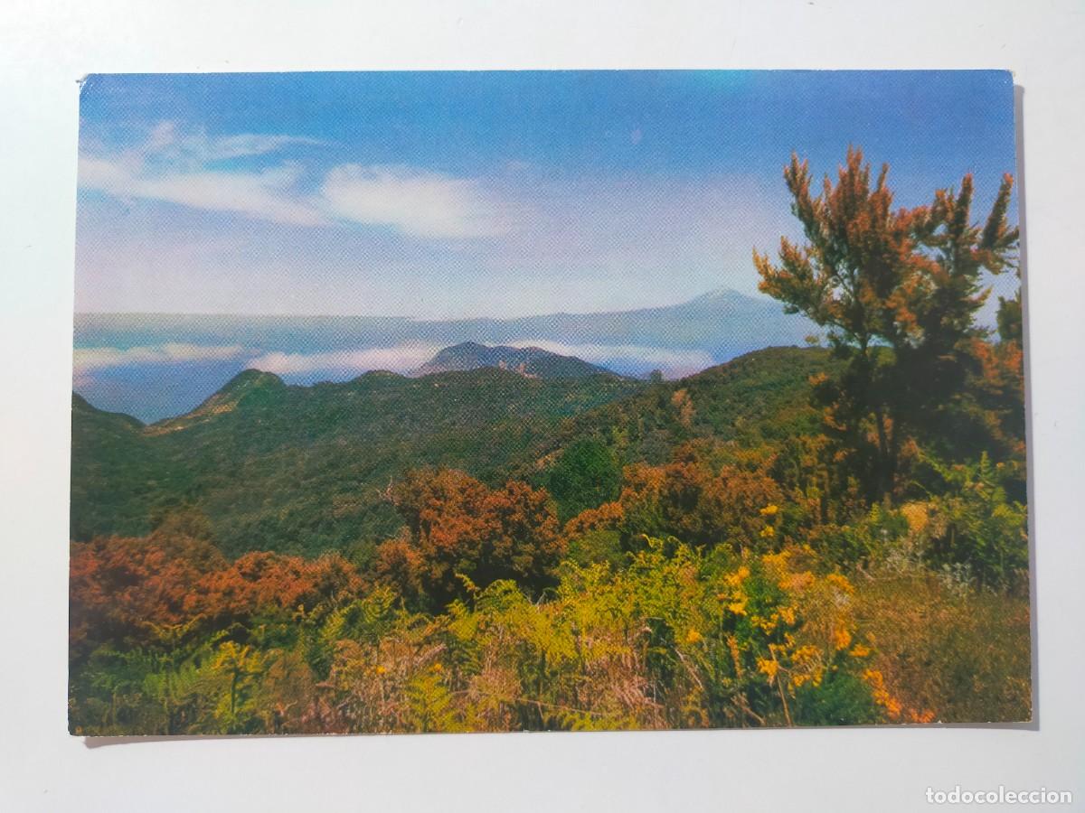 Postales: Postal GOMERA (Canarias): Paisaje desde la cumbre - Litog Romero