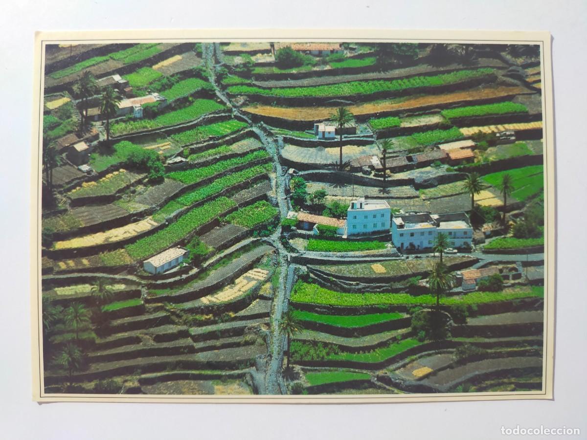 Postales: Postal GOMERA (Canarias): Cultivos en bancales - Edic La Gomera