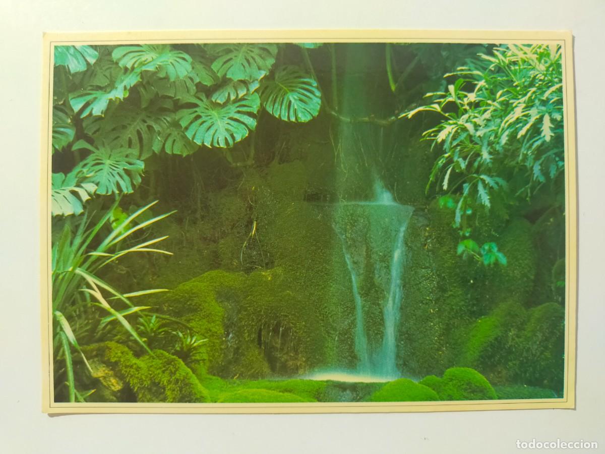 Postales: Postal GOMERA (Canarias): El Cedro. Cascada - Edic La Gomera