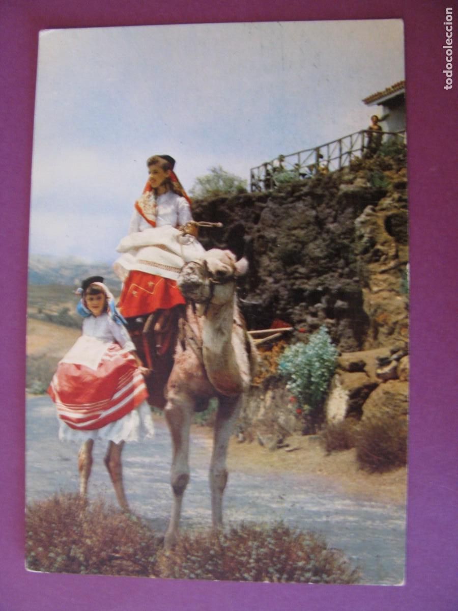 Postales: POSTAL DE TAFIRA. MIRADOR DE BANDAMA 1959