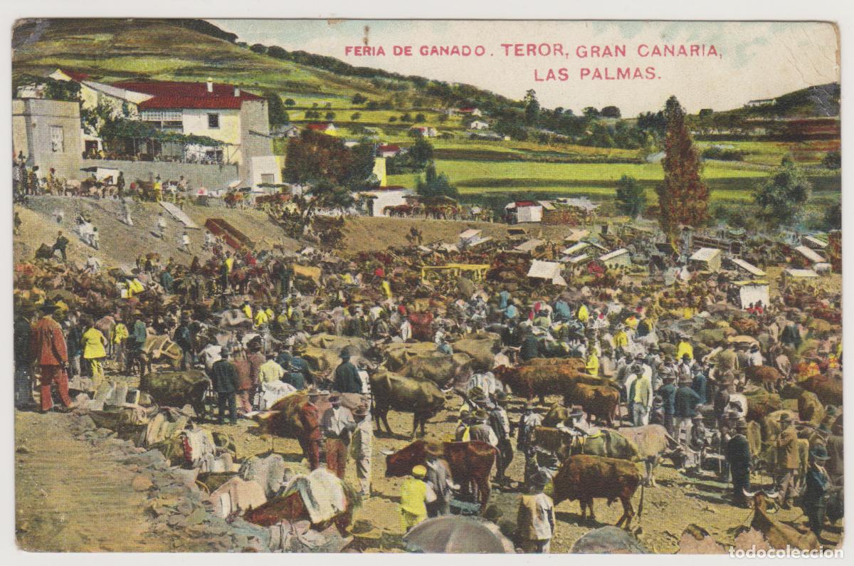 Postales: TARJETA POSTAL - GRAN CANARIA - LAS PALMAS - TEROR - FERIA DE GANADO