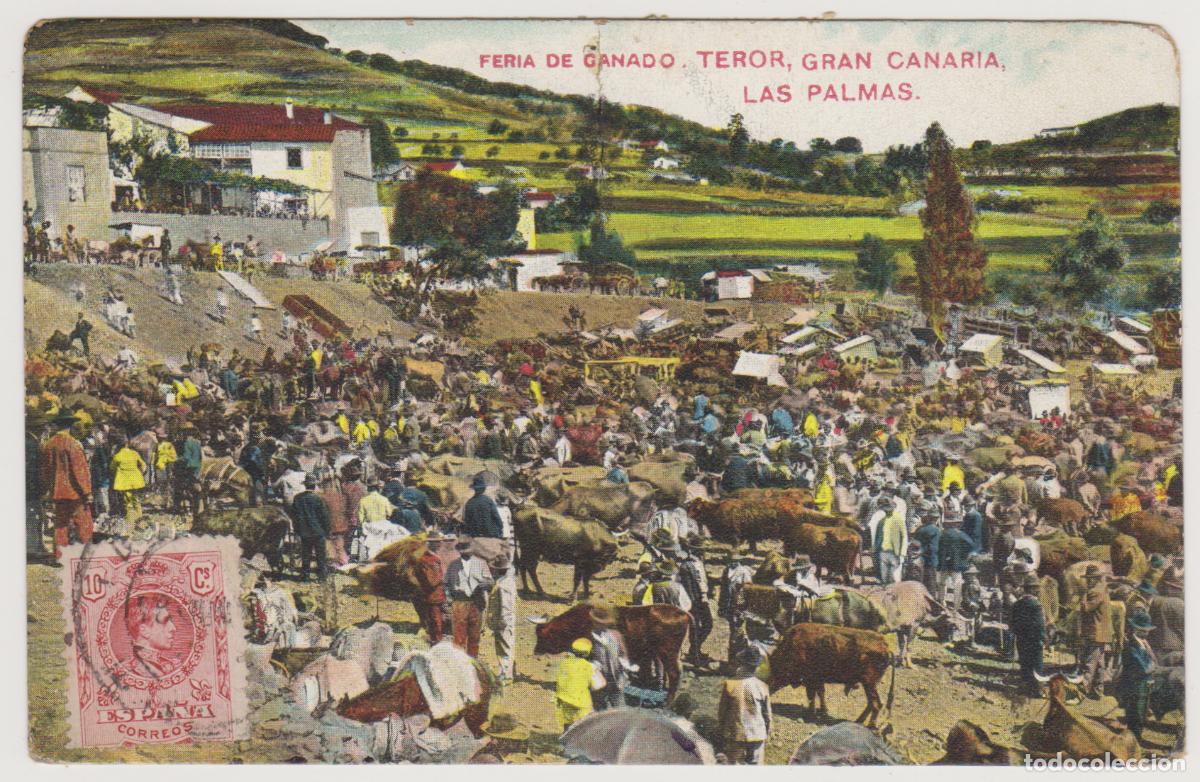 Postales: TARJETA POSTAL - GRAN CANARIA - LAS PALMAS - TEROR - FERIA DE GANADO
