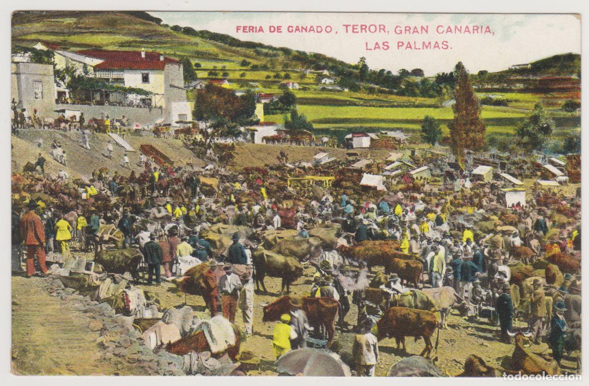 Postales: TARJETA POSTAL - GRAN CANARIA - LAS PALMAS - TEROR - FERIA DE GANADO