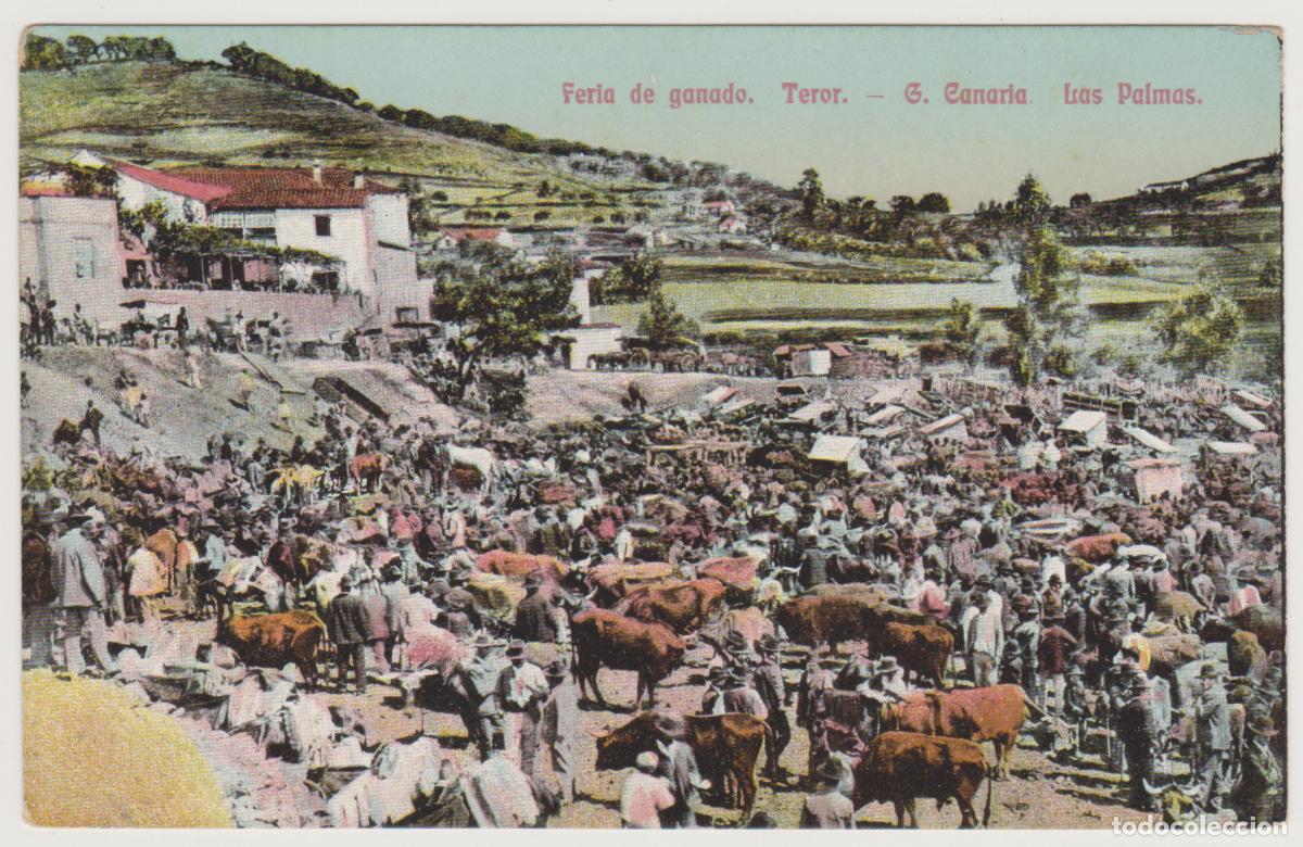 Postales: TARJETA POSTAL - GRAN CANARIA - LAS PALMAS - TEROR - FERIA DE GANADO