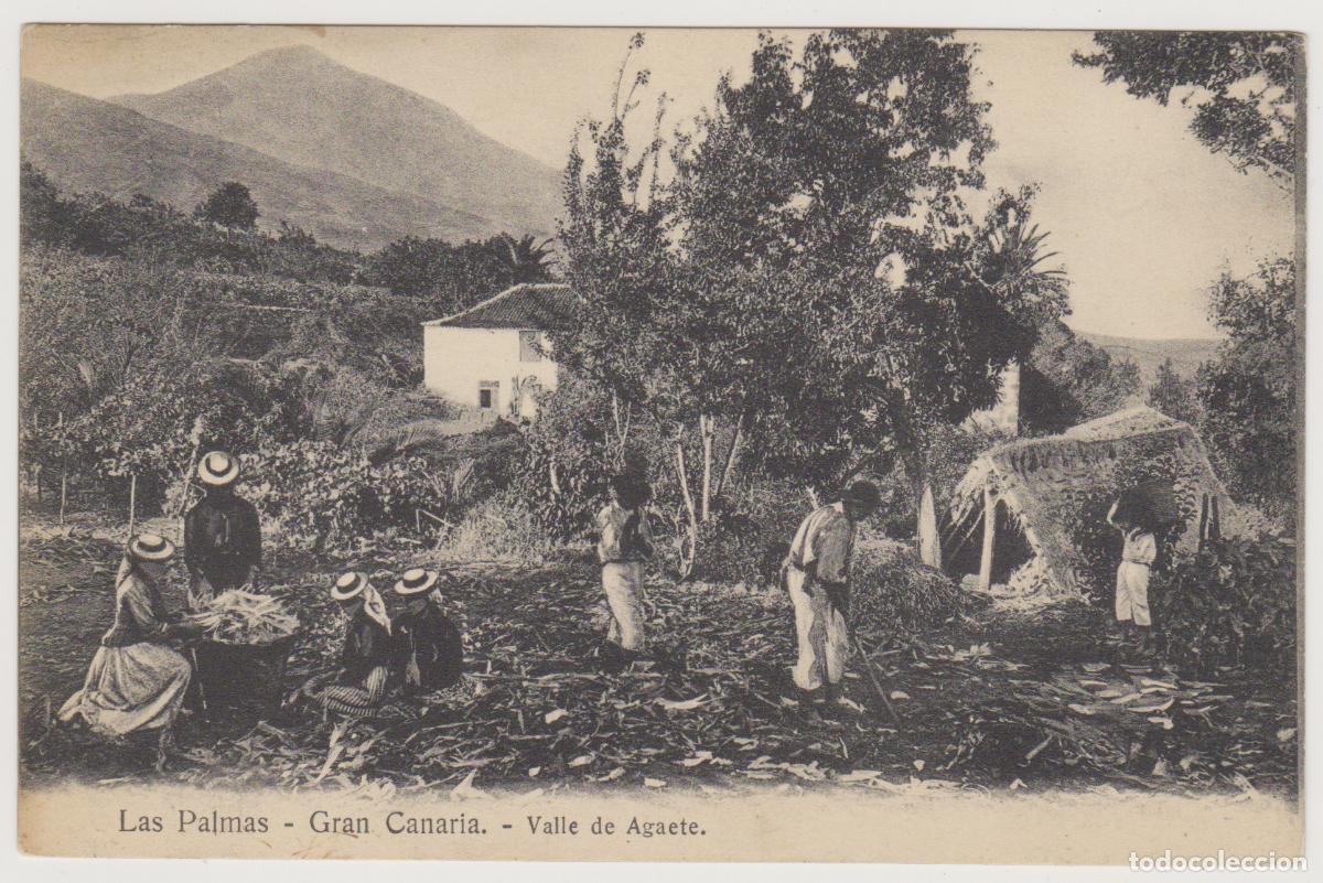 Postales: TARJETA POSTAL - LAS PALMAS - GRAN CANARIA - VALLE DE AGAETE