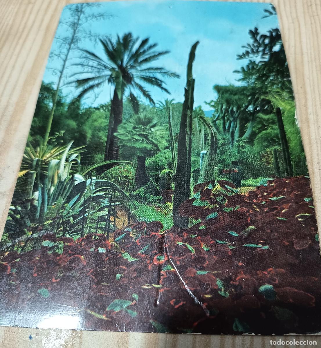 Postales: Jardin Botanico de Tenerife 1967