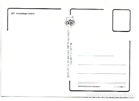 Postales: ARCHIPIELAGO CANARIO - Foto 2