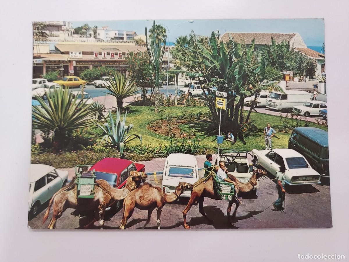 Postales: POSTAL PUERTO DE LA CRUZ PASEO EN CAMELLOS. 1971. SIN CIRCULAR. TENERIFE. ANIBARRO