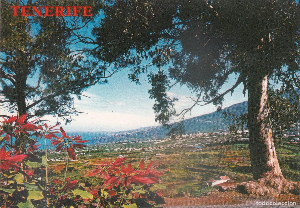 Postales: CANARIAS TENERIFE VALLE DE LA OROTAVA
