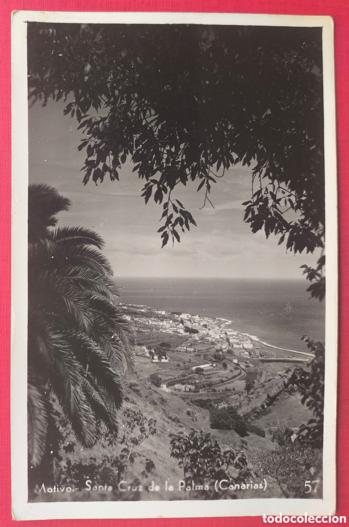 Postales: SANTA CRUZ DE LA PALMA POSTAL FOTOGR&Aacute;FICA FOTOGRAF&Iacute;A J. HERRERA CANARIAS C. 1935