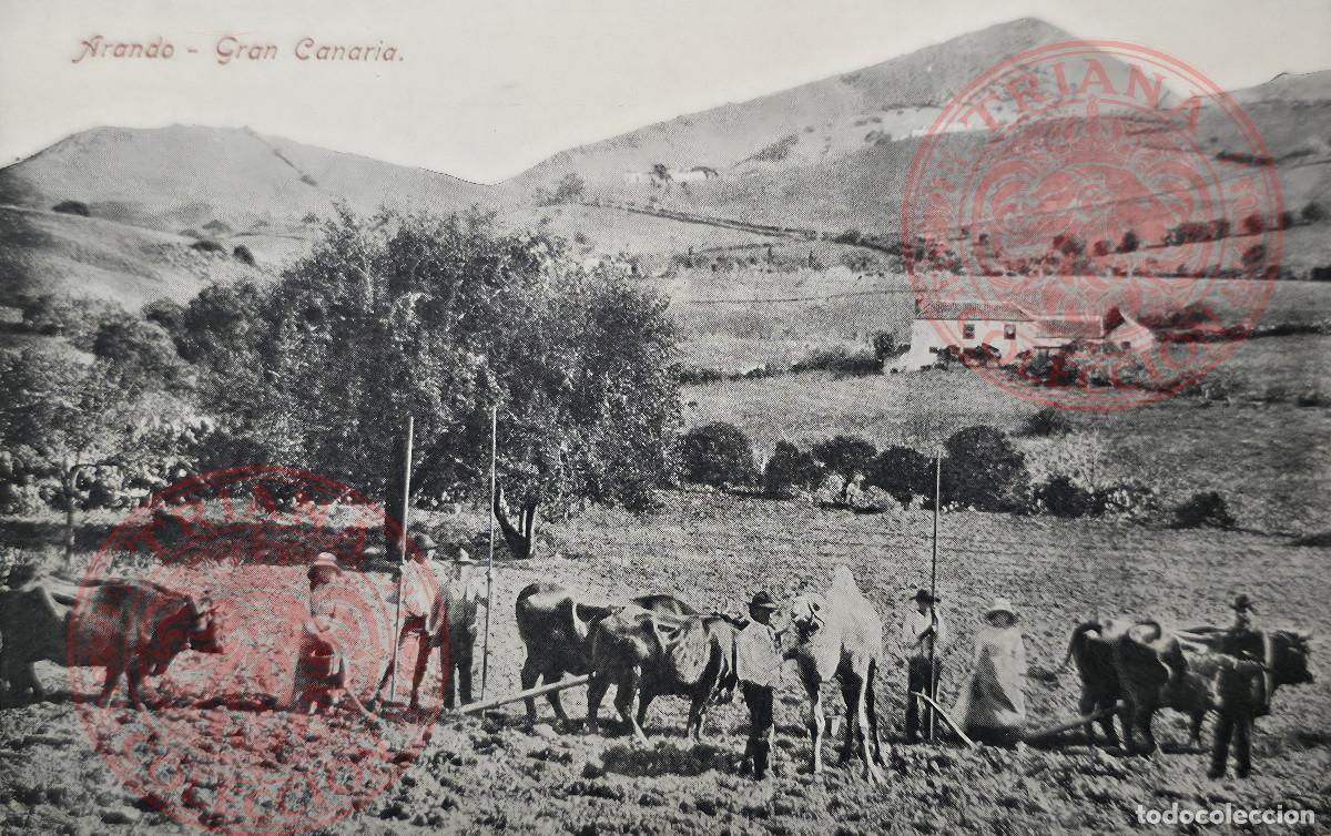 Postales: POSTAL GRAN CANARIAS - ARANDO RODRIGUES BROS., PUERTO DE LA LUZ