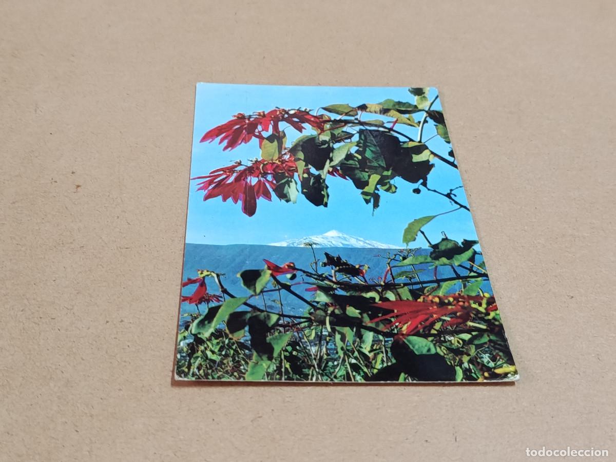 Postales: TENERIFE - POSTAL EL VOLCAN TEIDE