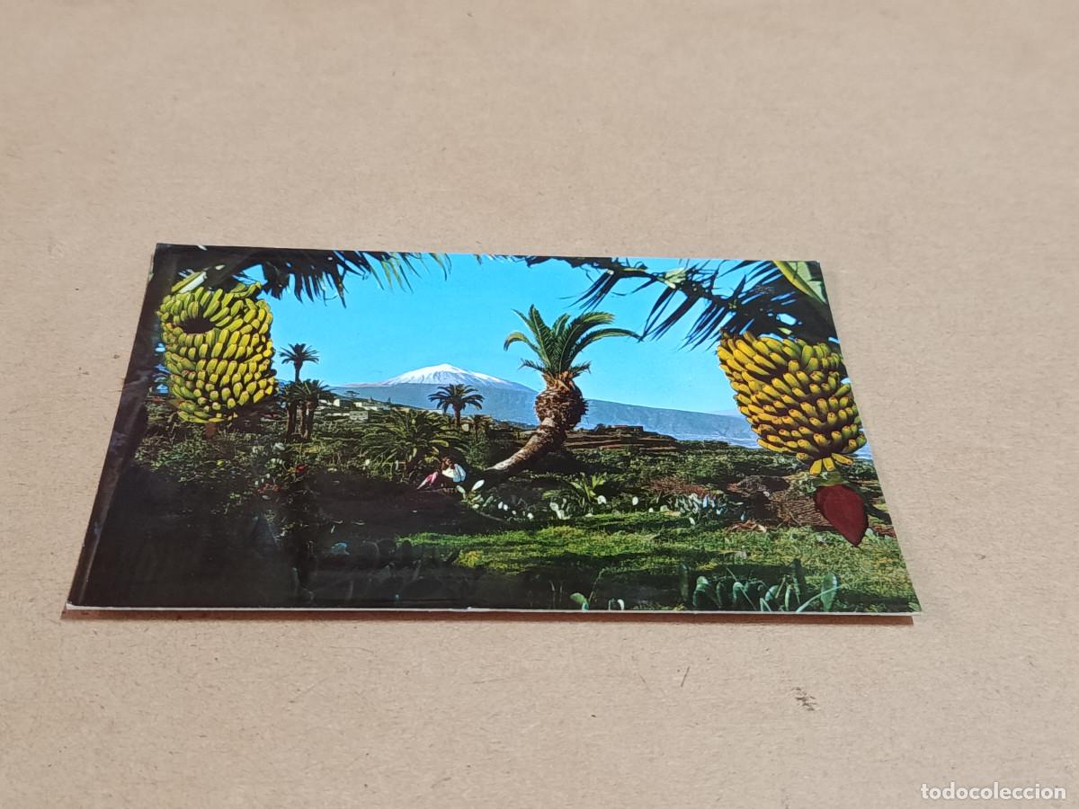 Postales: TENERIFE - POSTAL PANORAMA DEL TEIDE VISTO DESDE LA VICTORIA