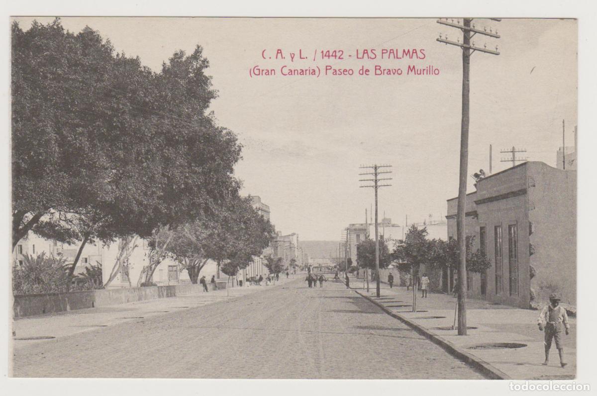Postales: TARJETA POSTAL - LAS PALMAS (GRAN CANARIA) - C.A. Y L. / 1442 - PASEO DE BRAVO MURILLO