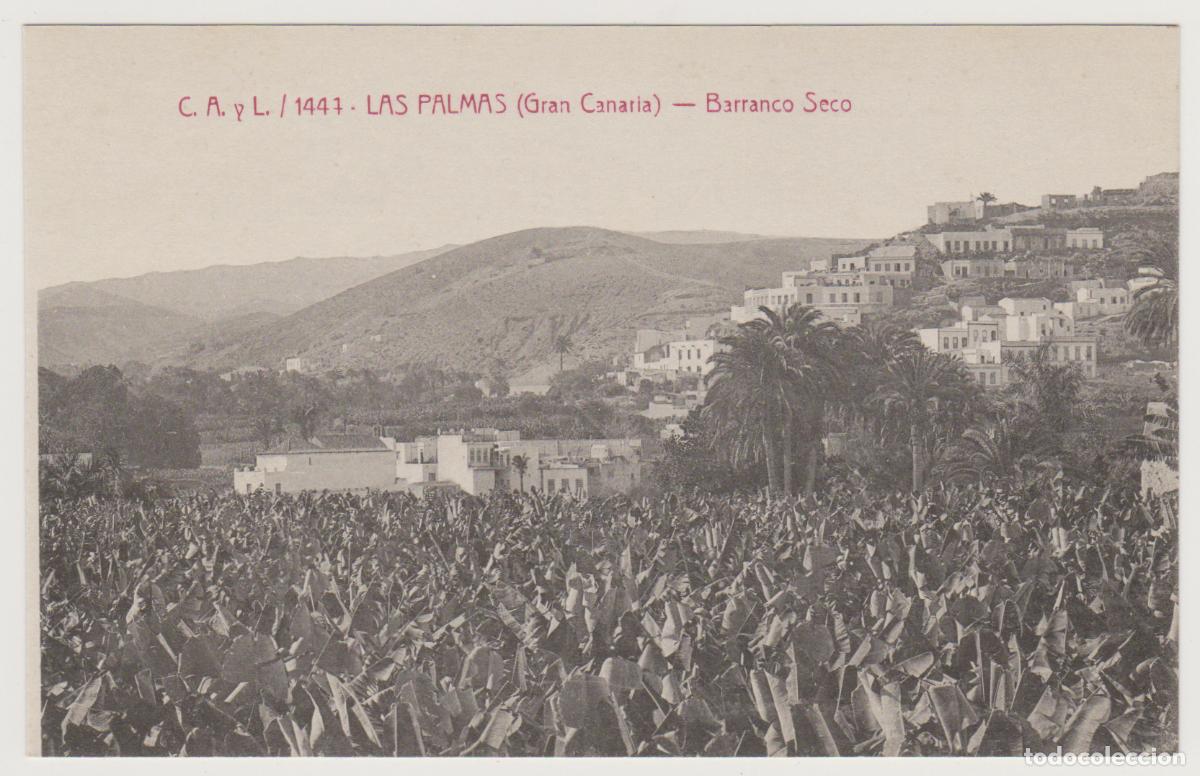 Postales: TARJETA POSTAL - LAS PALMAS (GRAN CANARIA) - C.A. Y L. / 1441 - BARRANCO SECO