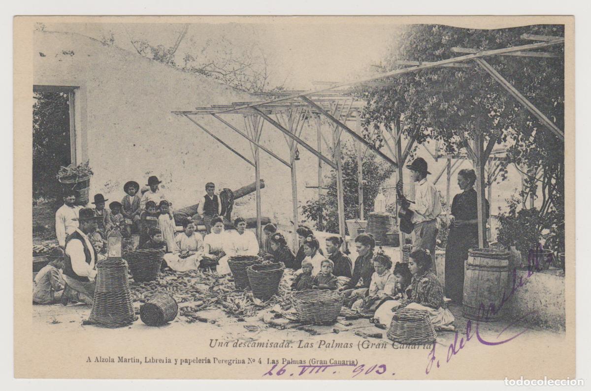 Postales: TARJETA POSTAL - LAS PALMAS - GRAN CANARIA - UNA DESCAMISADA - A. ALZOLA MARTIN
