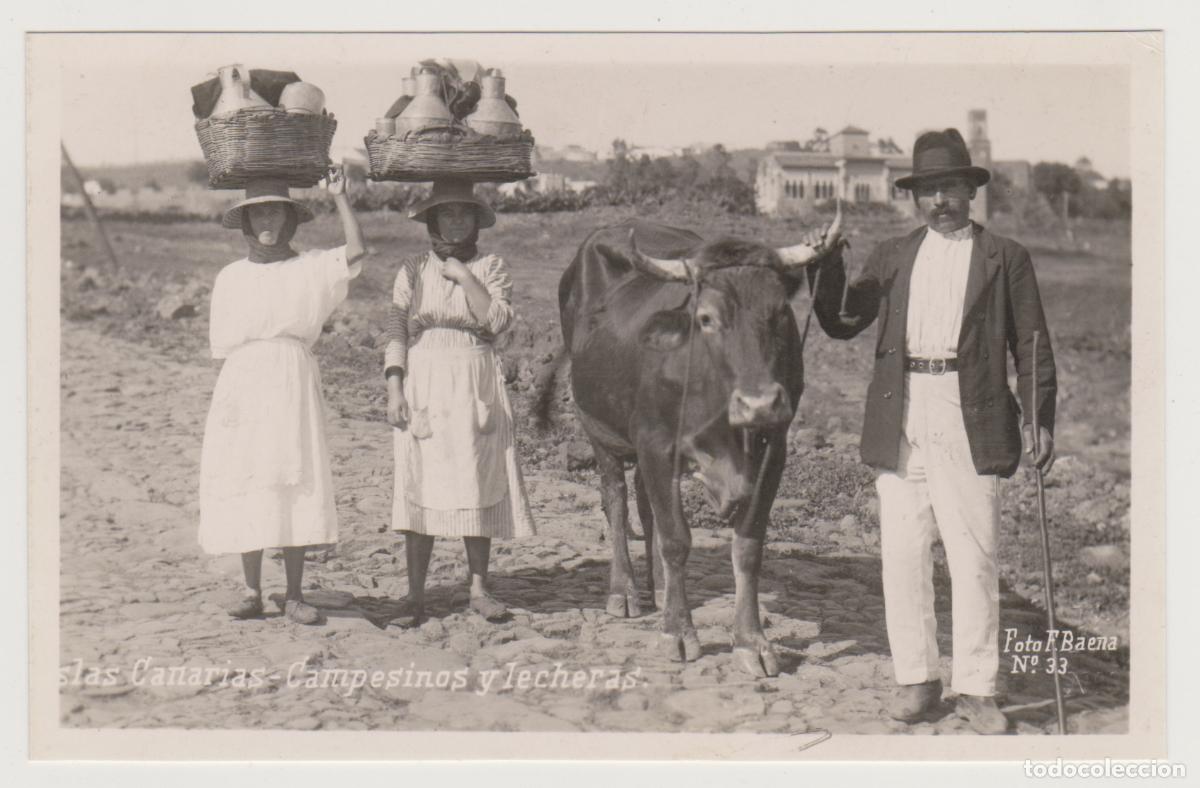 Postales: TARJETA POSTAL - ISLAS CANARIAS - CAMPESINOS Y LECHERAS - N&ordm; 33 - FOTO F. BAENA