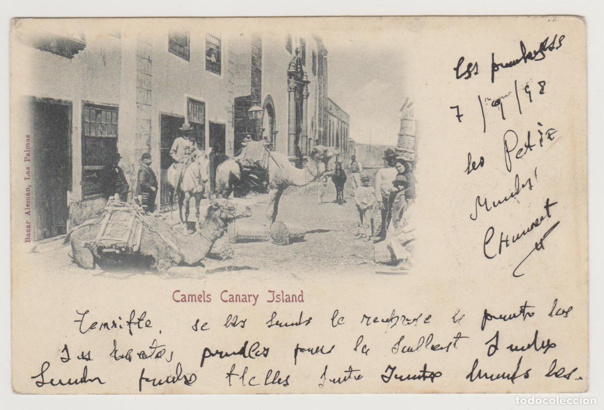 Postales: TARJETA POSTAL - CANARY ISLAND - CAMELS - BAZAR ALEMAN
