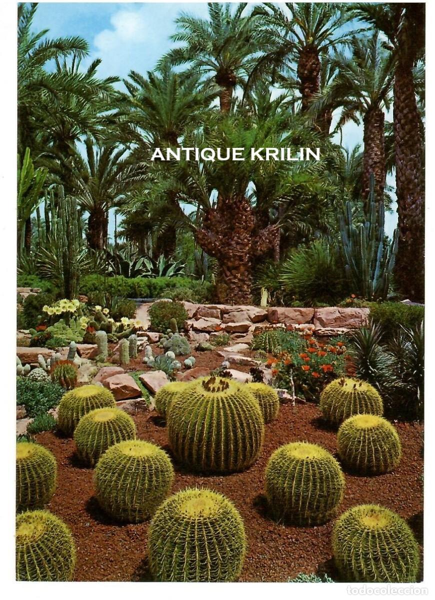 Postales: ISLAS CANARIAS N&ordm; 552 ECHINOCACTUS , EJEMPLARES / EDI. ARRIBAS / SIN FRANQUEAR PERO ESCRITA