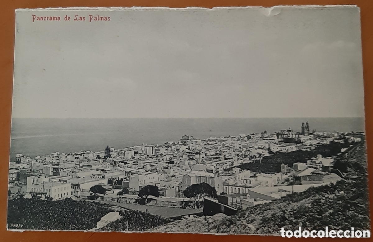Postales: Postal Las Palmas. Panorama de las Palmas. Sin escribir. R10127