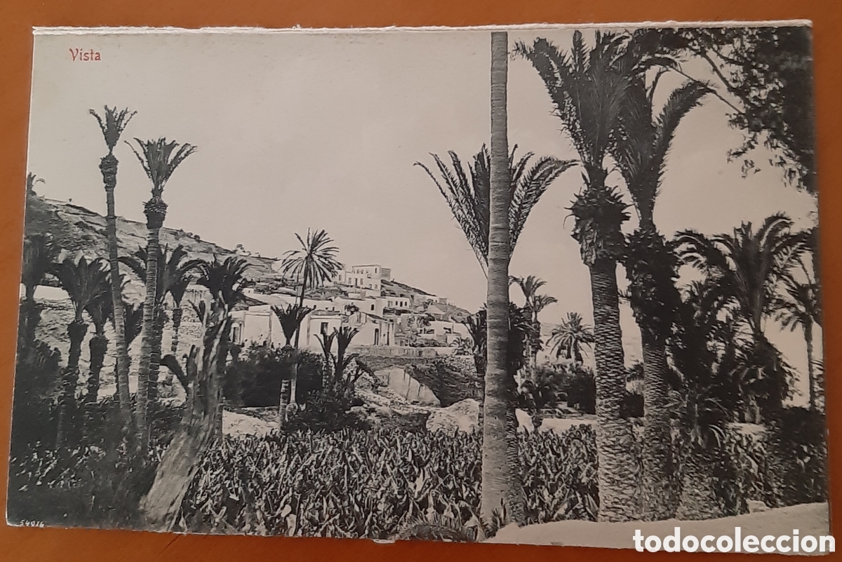 Postales: Postal Las Palmas. Vista. Sin escribir. R10129