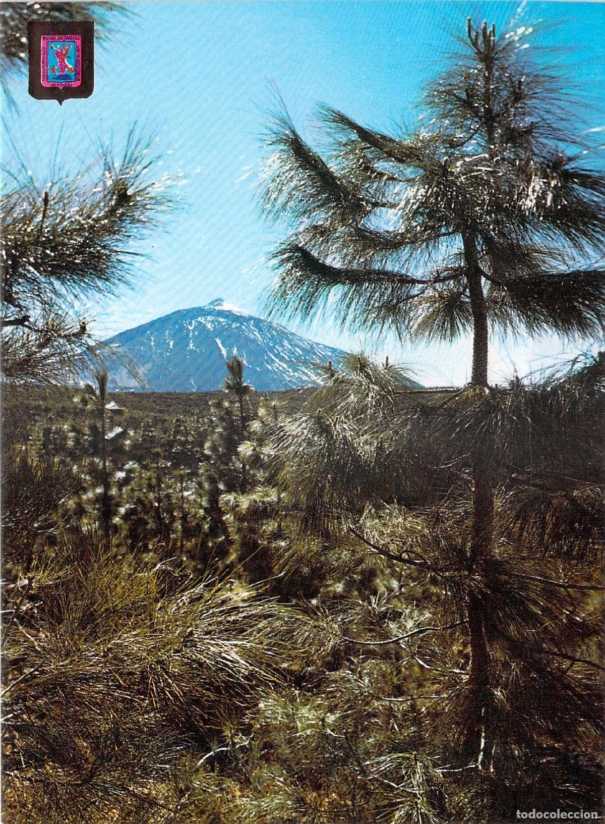 Postales: Postal de Tenerife con vista del volc&aacute;n El Teide