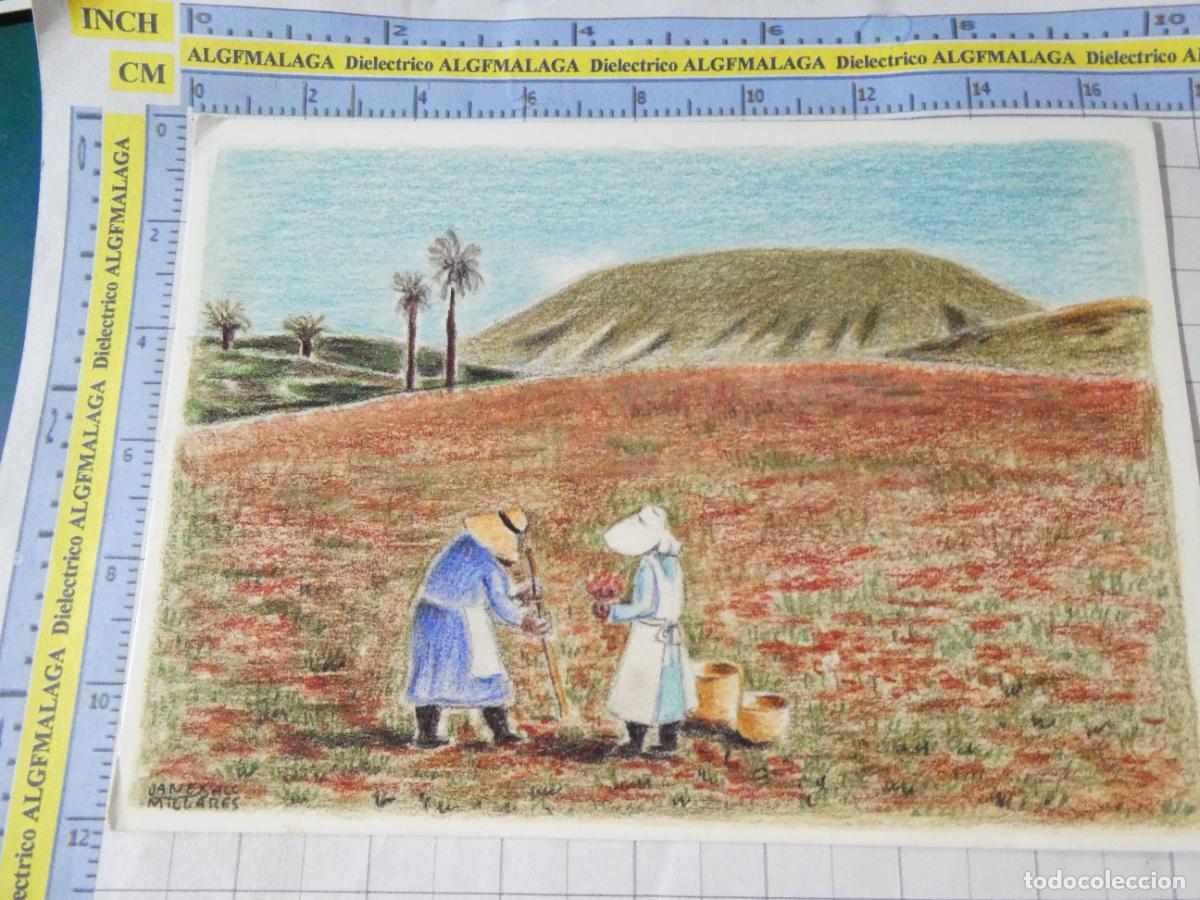 Postales: POSTAL DE ISLAS CANARIAS. LANZAROTE PAISAJE MUJERES CAMPO DIBUJO JANE MILLARES SALL. 2720