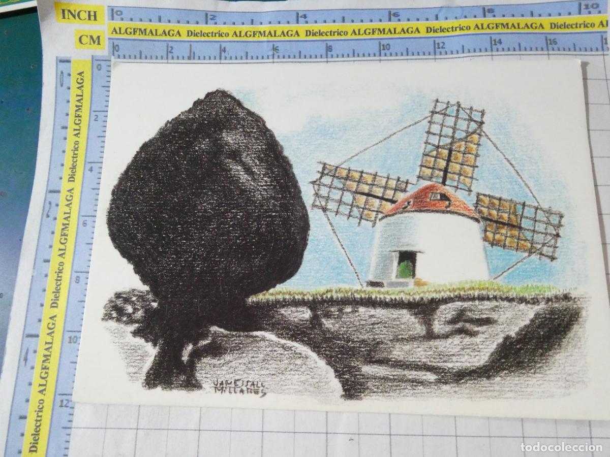 Postales: POSTAL DE ISLAS CANARIAS. LANZAROTE MOLINO Y PIEDRA L&Aacute;VICA DIBUJO JANE MILLARES SALL. 2721