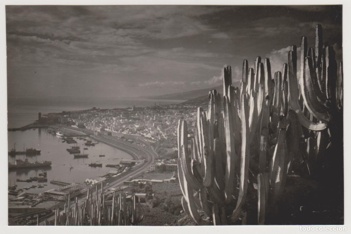 Postales: TARJETA POSTAL - SANTA CRUZ DE TENERIFE - VISTA PARCIAL DEL PUERTO - N&ordm; 25 - EDICIONES LUJO