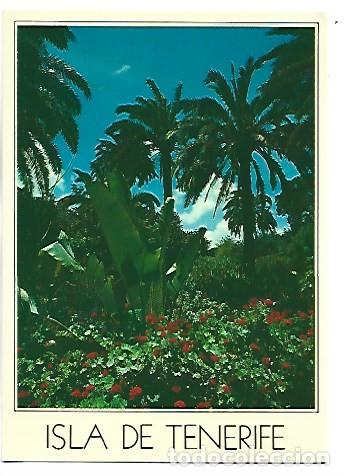 Postales: VEGETACION EXOTICA EN UNA ETERNA PRIMAVERA.- TENERIFE