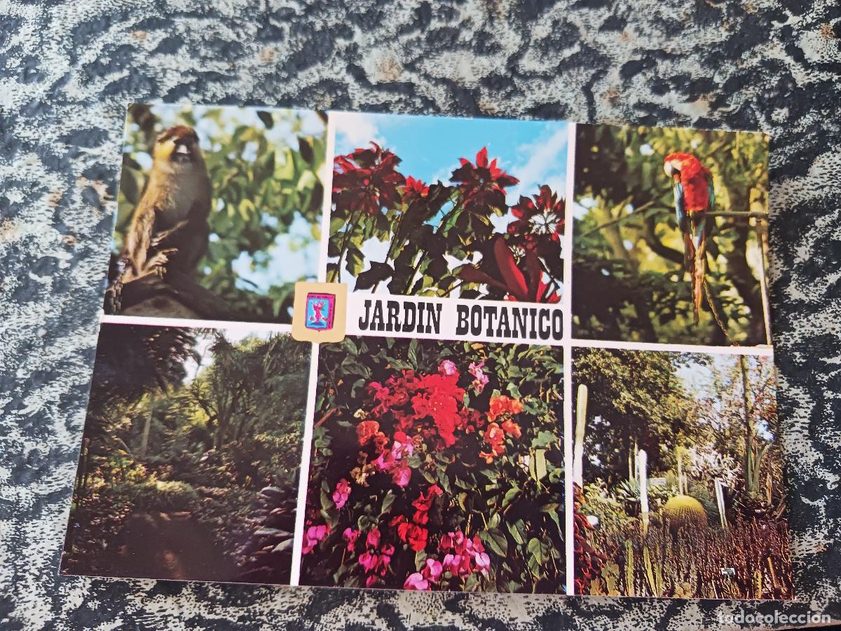 Postales: 26 la orotava, jardin botanico, ed. fisa