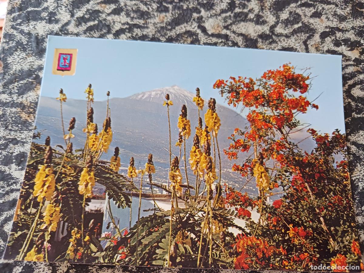 Postales: 69 tenerife, el teide preside el colorido paisaje, sociedad espa&ntilde;ola de horticultura y plantel
