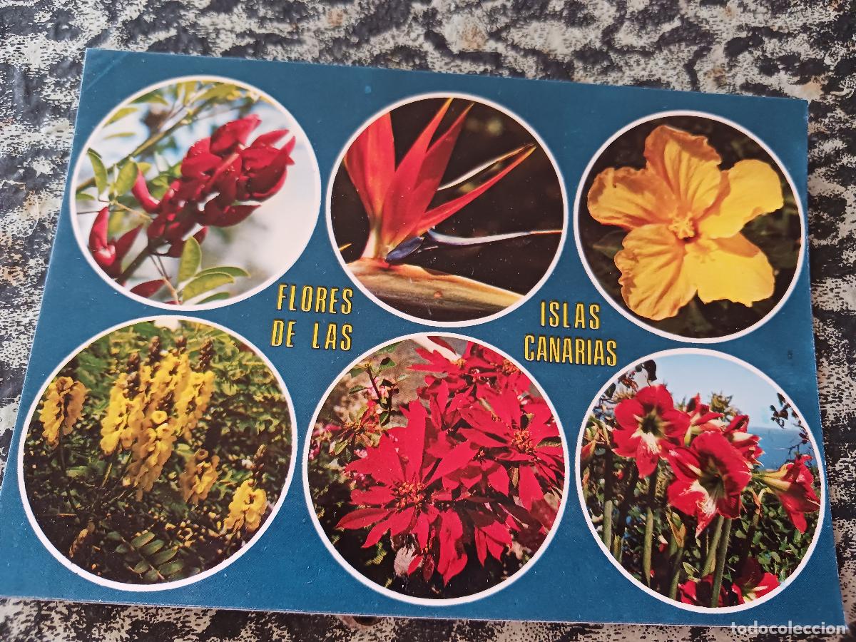 Postales: tenerife, flores tipicas de la isla, ed. euroafricana