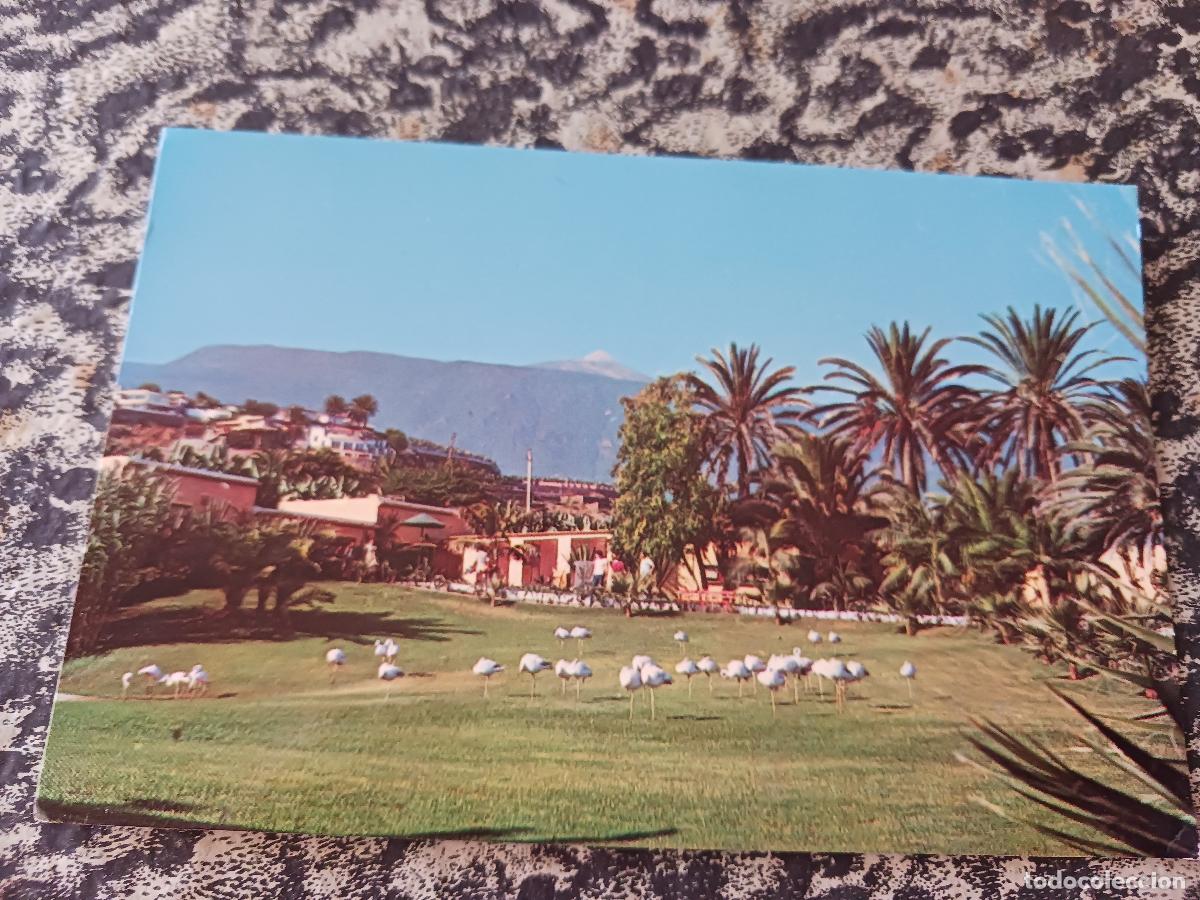Postales: 4 puerto de la cruz, tenerife, jardines del loro park, ed. perez diaz