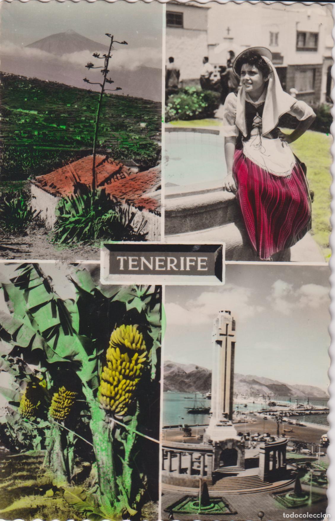 Postales: TENERIFE, PAISAJE T&Iacute;PICO, BELLEZA ISLE&Ntilde;A, PLATANERAS &ndash; EDICIONES L MONTA&Ntilde;ES 710 &ndash; CIRCULADA 1960