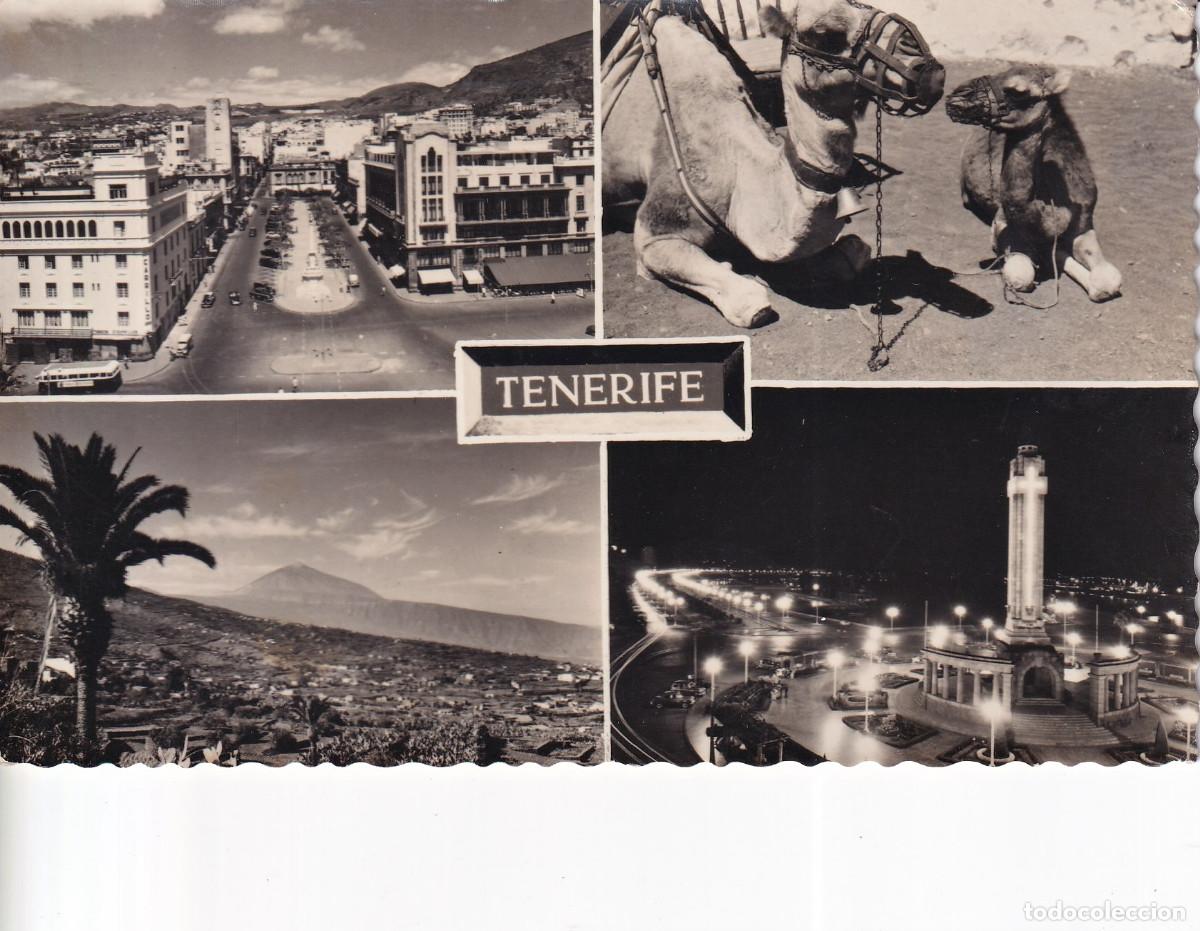 Postales: CANARIAS SANTA CRUZ DE TENERIFE