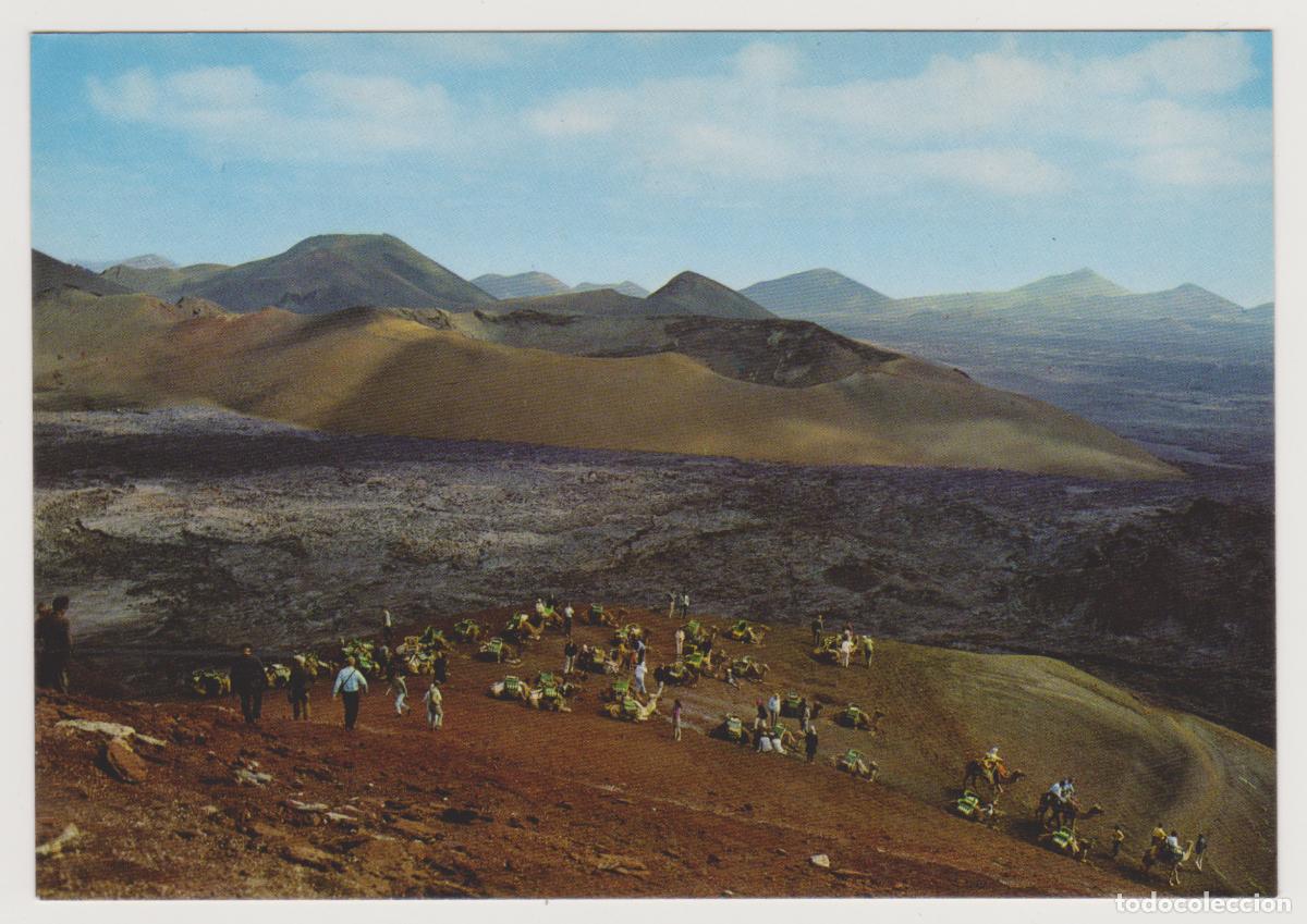 Postales: TARJETA POSTAL - LANZAROTE - MONTA&Ntilde;A DEL FUEGO - CARAVANA DE CAMELLOS - COLECCION LAS AFORTUNADAS
