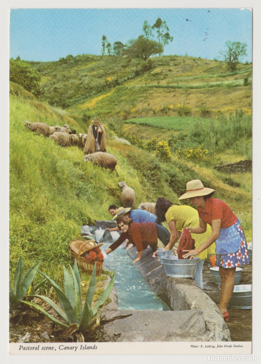 Postales: TARJETA POSTAL - CANARY ISLANDS -PASTORAL SCENE - PHOTO E. LUDWIG