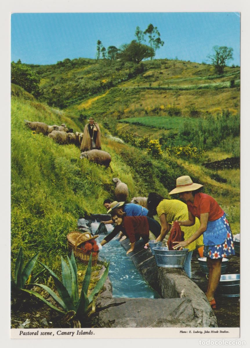 Postales: TARJETA POSTAL - CANARY ISLANDS - PASTORAL SCENE - PHOTO E. LUDWIG