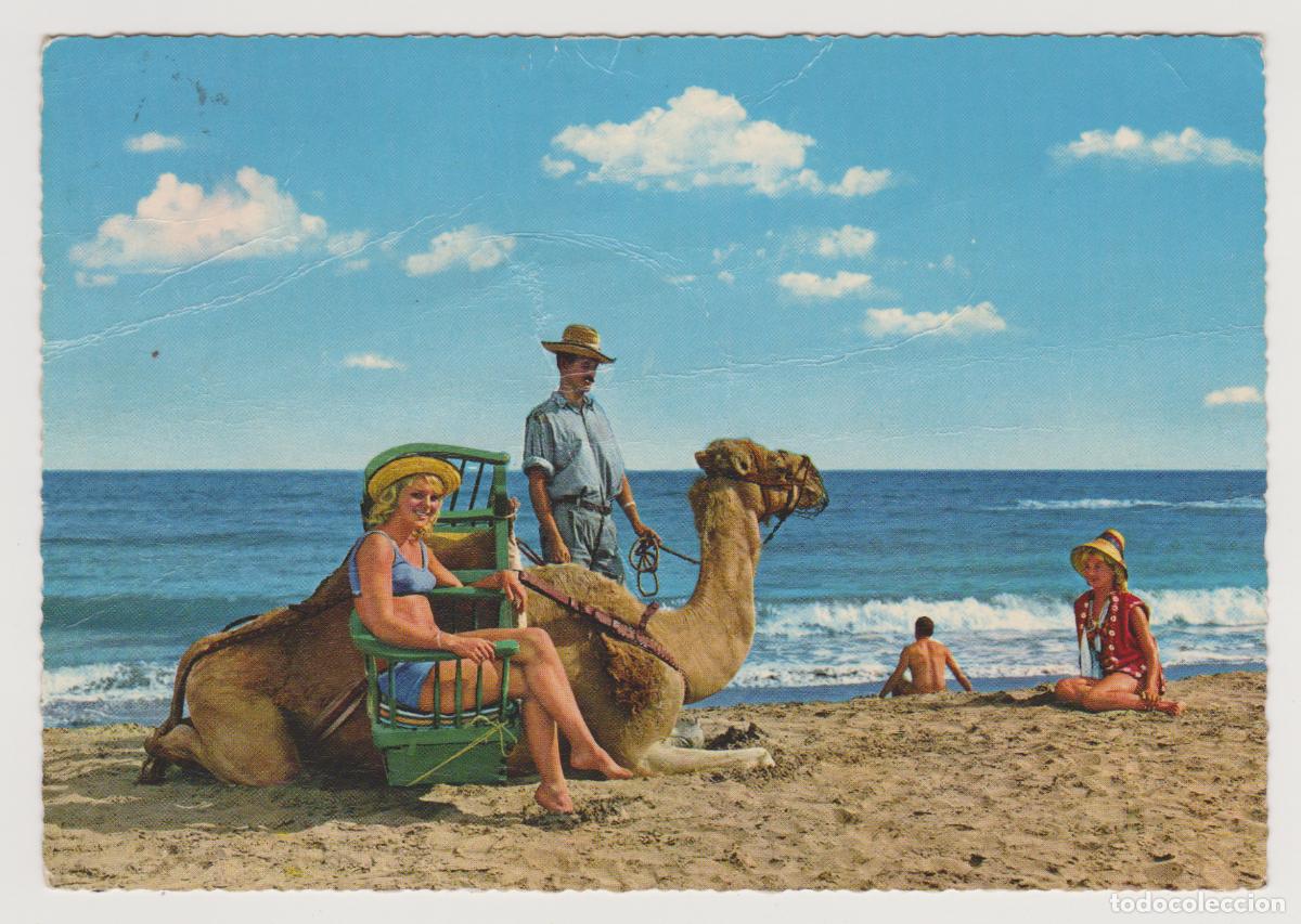Postales: TARJETA POSTAL - LAS PALMAS DE GRAN CANARIA - DIVERSIONES EN EL VERANO - KR&Uuml;GER