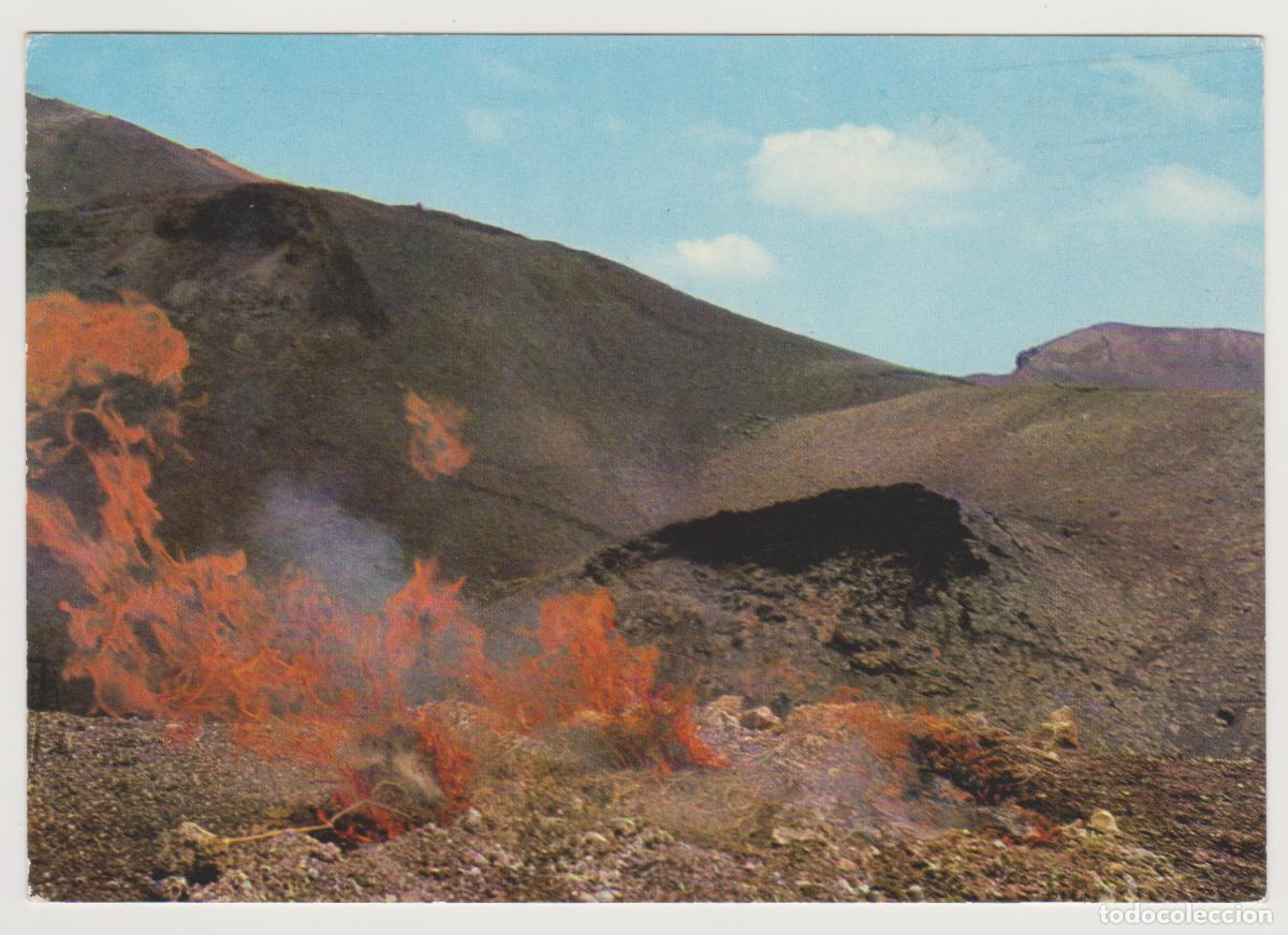 Postales: TARJETA POSTAL - LANZAROTE - MONTA&Ntilde;AS DEL FUEGO - ZONA DE TINECHEIDE - N&ordm; 115 - FOTOGRAFIA GABRIEL