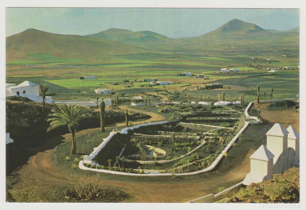 Postcards: TARJETA POSTAL - LANZAROTE - ISLAS CANARIAS - OASIS DE NAZARET - RAYCAR SA