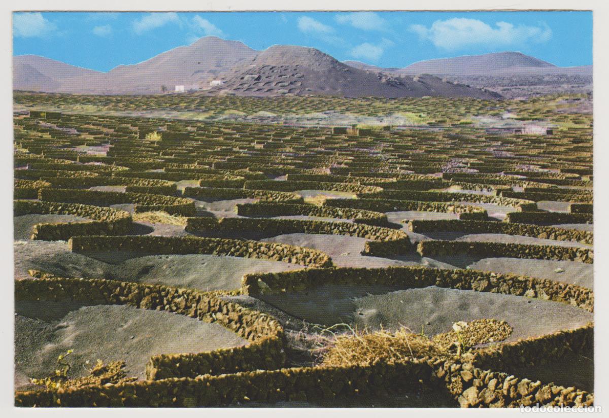 Postales: TARJETA POSTAL - LANZAROTE - LA GERIA - COLECCION LAS AFORTUNADAS - COMERCIAL SILVA