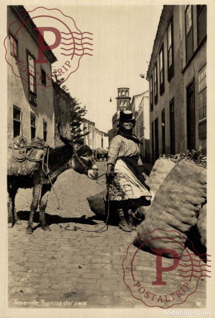 Postales: TENERIFE , TIPICOS TIPOS DEL PAIS. FOTOGRAFICA.